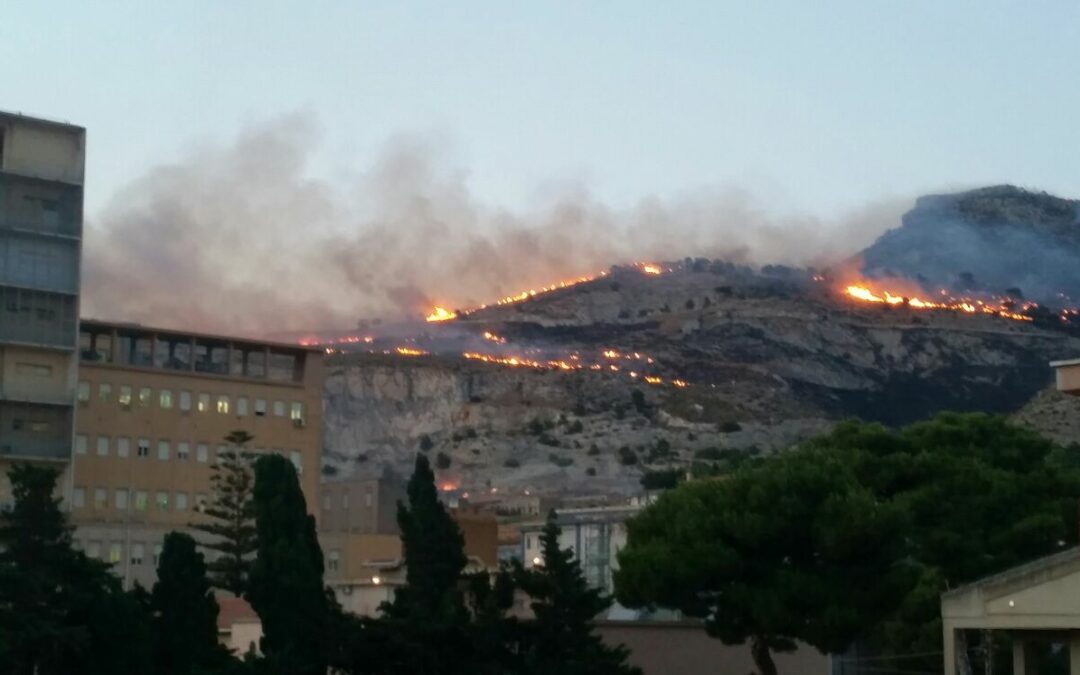 INCENDIO ERICE :UN DISASTRO ANNUNCIATO?